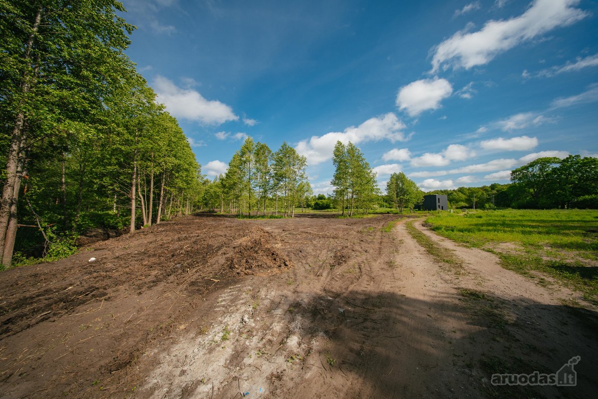 Liko tik 2 sklypukai: - nuotraukos Nr. 5