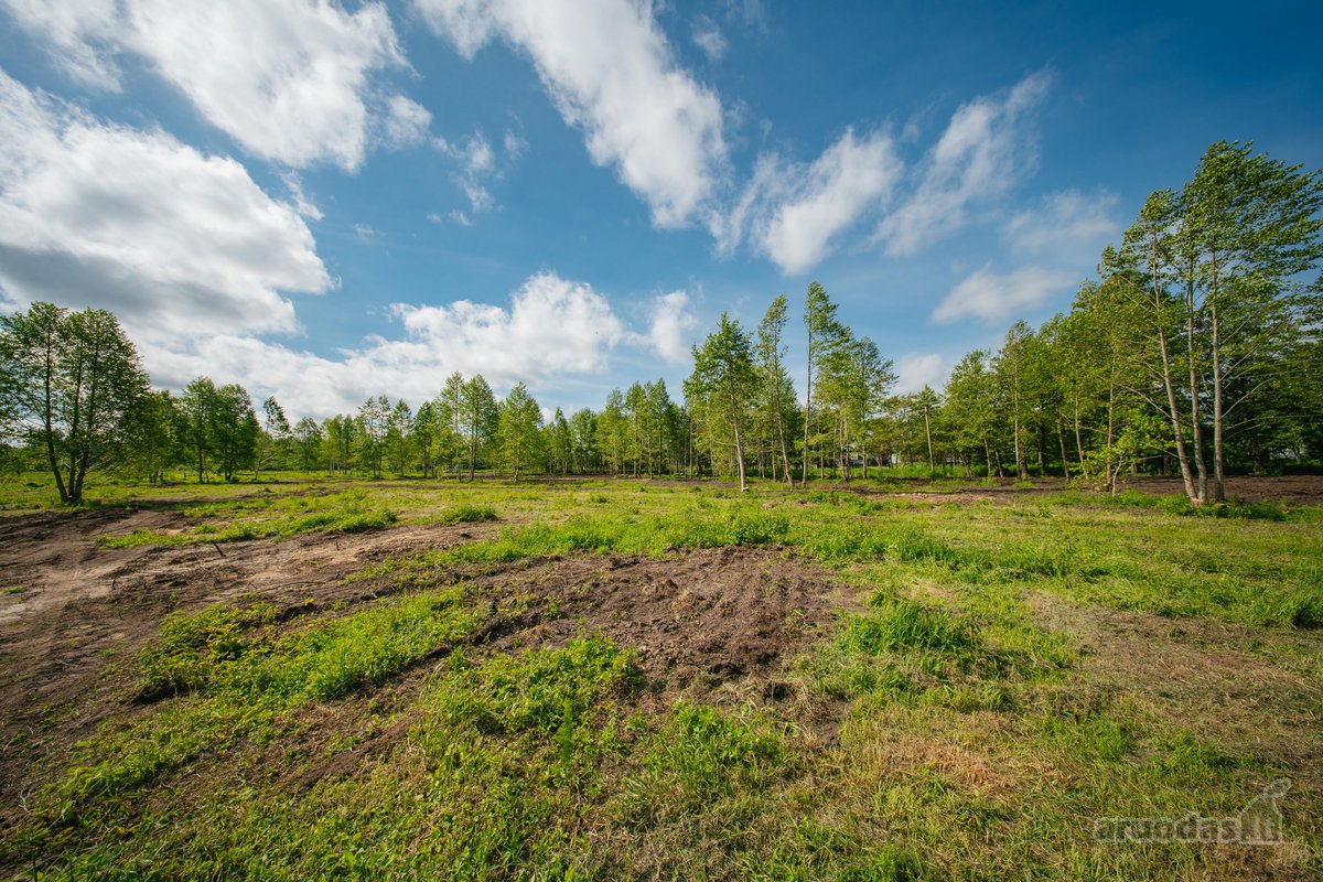 Liko tik 2 sklypukai: - nuotraukos Nr. 11