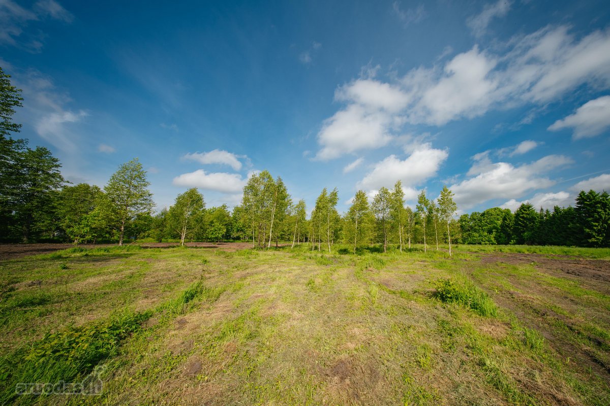 Liko tik 2 sklypukai: - nuotraukos Nr. 12