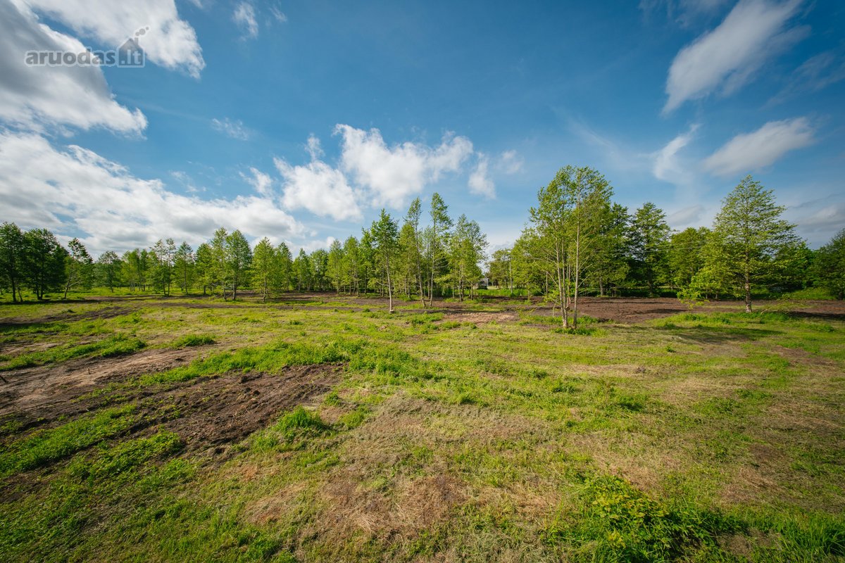 Liko tik 2 sklypukai: - nuotraukos Nr. 13