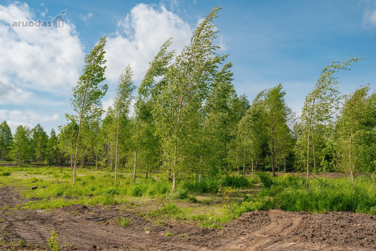 Liko tik 2 sklypukai: - nuotraukos Nr. 15