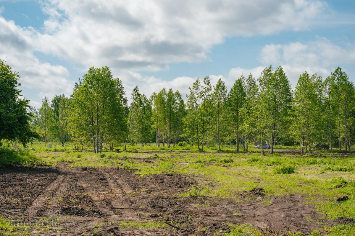 Liko tik 2 sklypukai: - nuotraukos Nr. 16