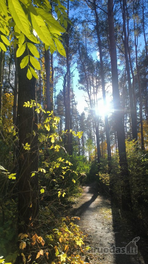 Parduodamas šviesus 4 kambarių butas su - nuotraukos Nr. 20