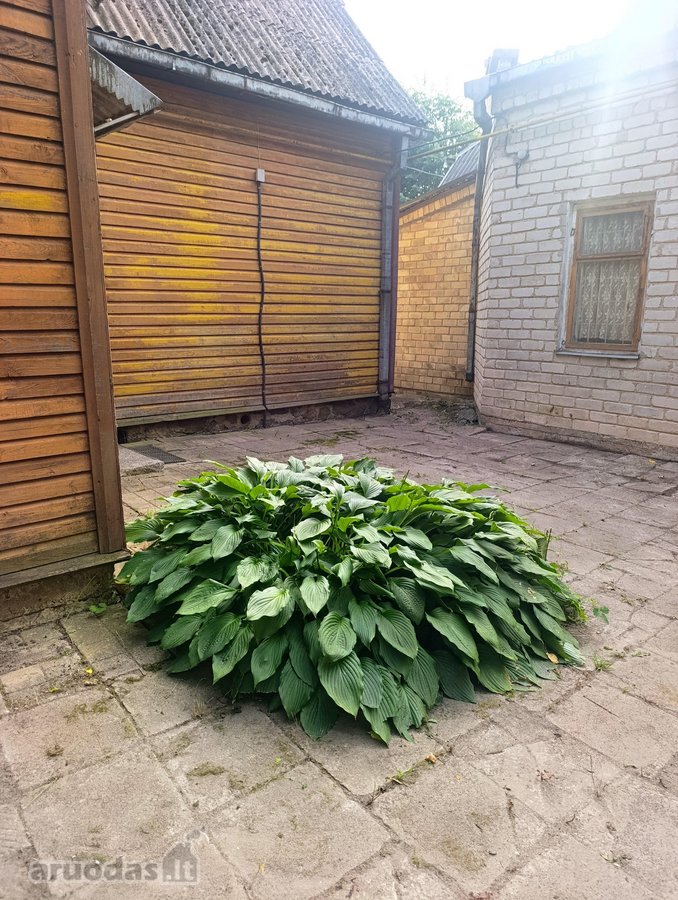 Namas ieško šeimininko, - nuotraukos Nr. 7