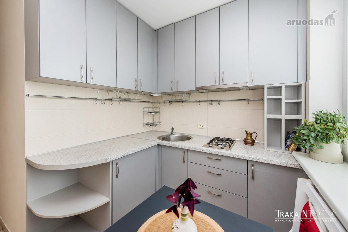 Išnuomojamas 3 Kambarių 50,26 m² Ploto Butas - nuotraukos Nr. 12