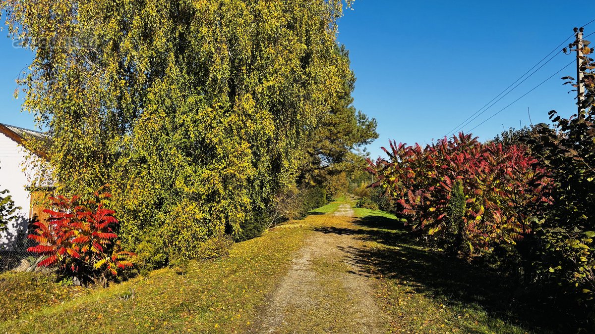 Gražus sodas. - nuotraukos Nr. 77
