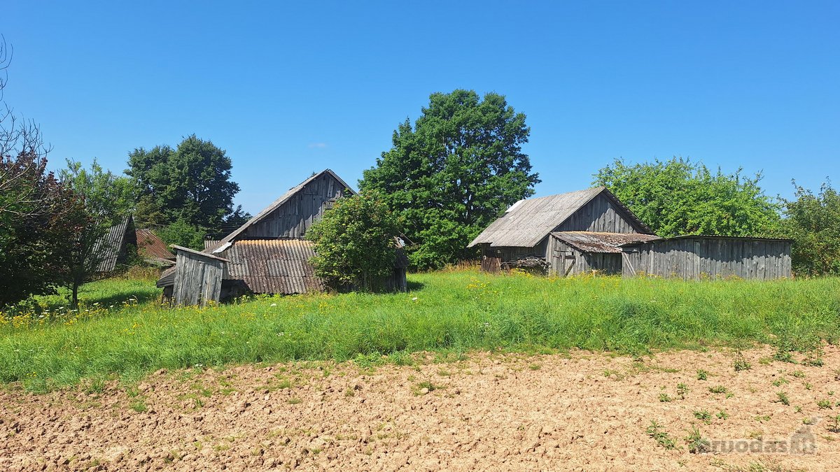 Parduodama Sodyba Anykščių Raj.kurklių Sen - nuotraukos Nr. 13