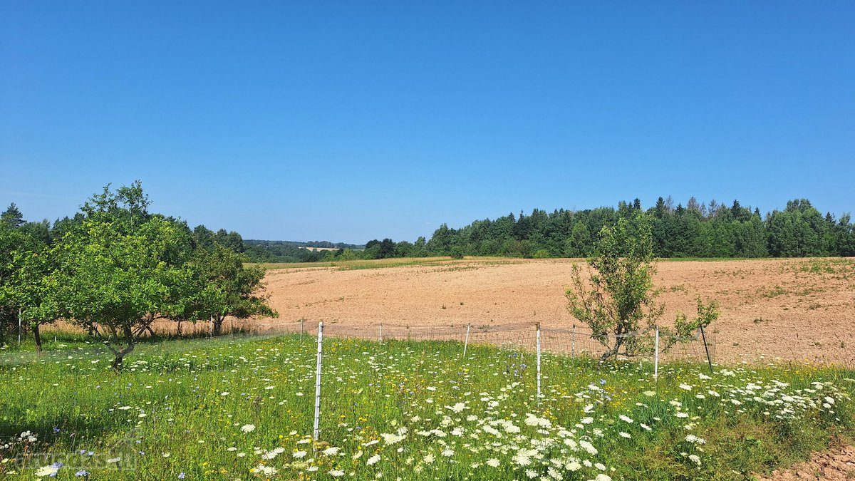 Parduodama Sodyba Anykščių Raj.kurklių Sen - nuotraukos Nr. 15