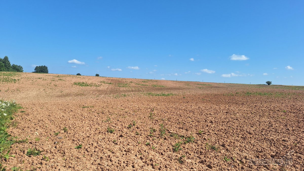 Parduodama Sodyba Anykščių Raj.kurklių Sen - nuotraukos Nr. 16