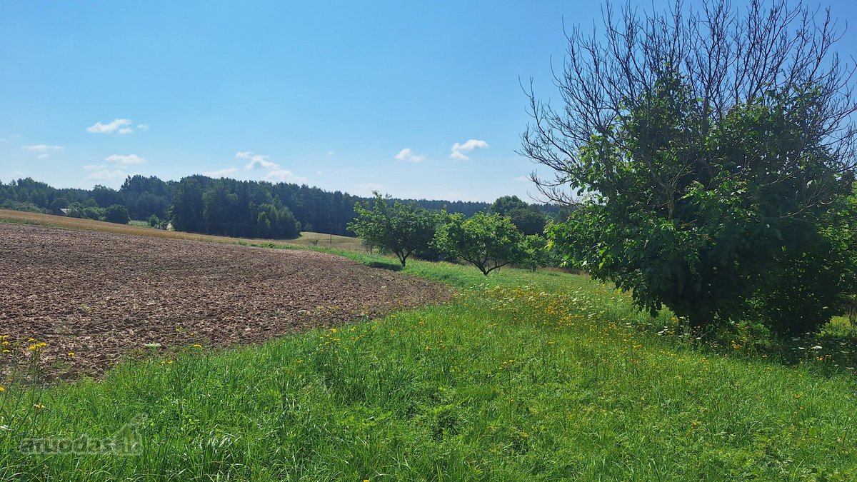 Parduodama Sodyba Anykščių Raj.kurklių Sen - nuotraukos Nr. 17