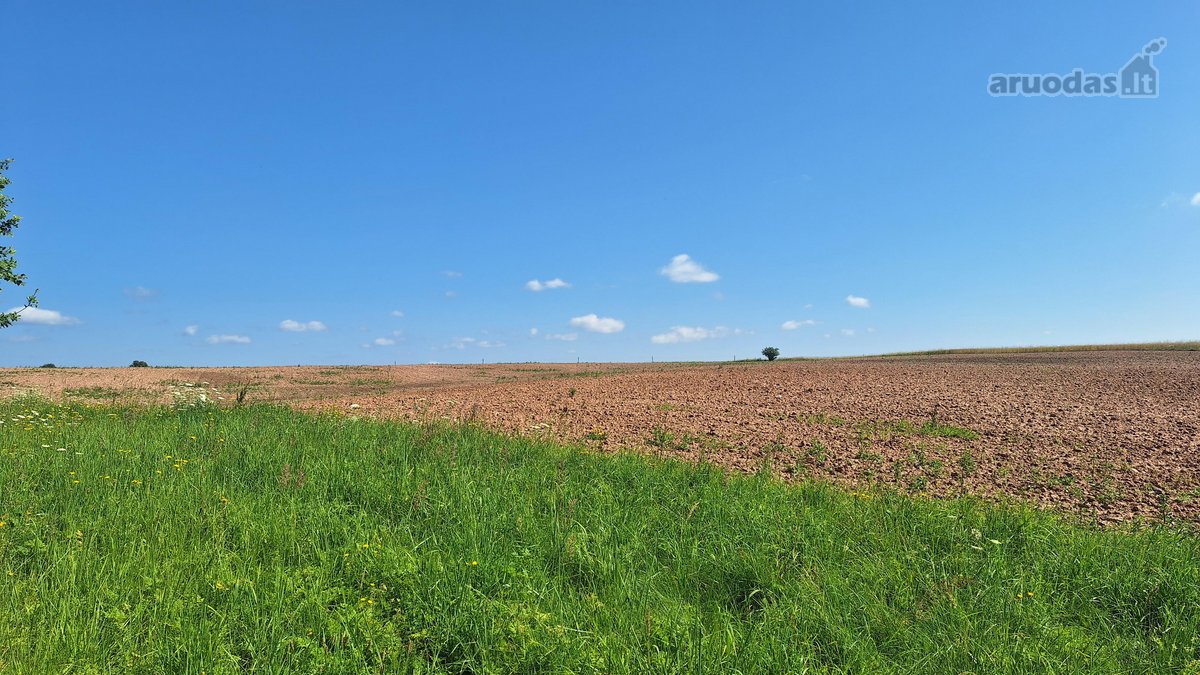 Parduodama Sodyba Anykščių Raj.kurklių Sen - nuotraukos Nr. 18