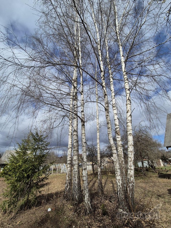Karkasinis namas sodo sklype su ūkiniu - nuotraukos Nr. 5