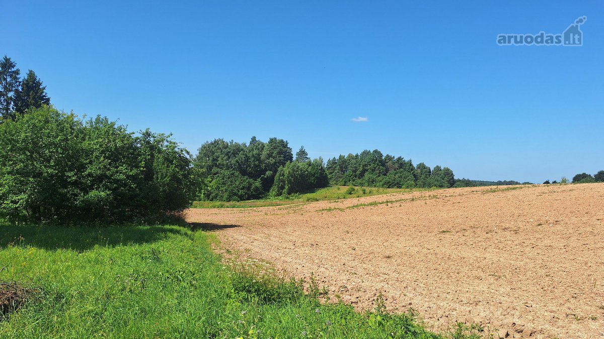 Parduodama Sodyba Anykščių Raj.kurklių Sen - nuotraukos Nr. 35