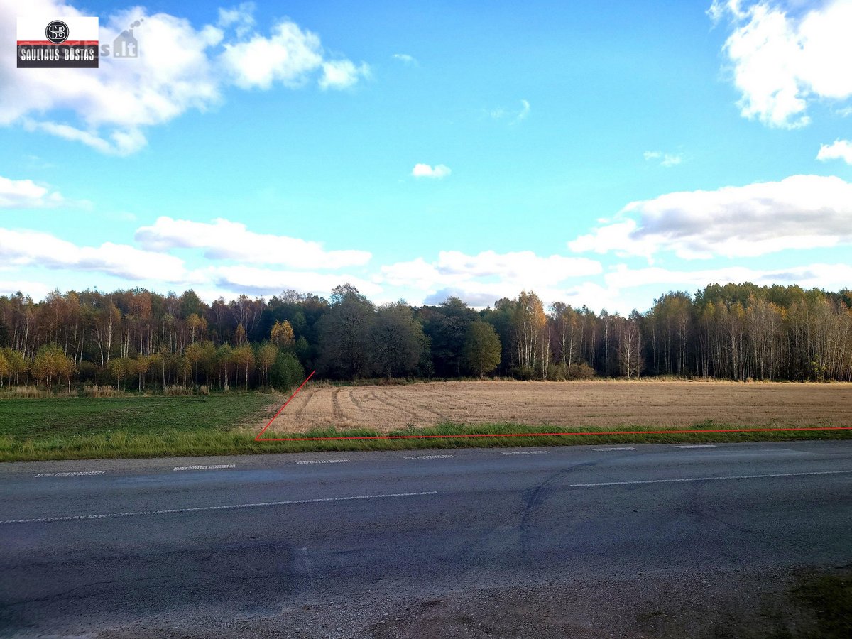 Parduodamas 4,3000 ha žemės sklypas Šiaulių - nuotraukos Nr. 9