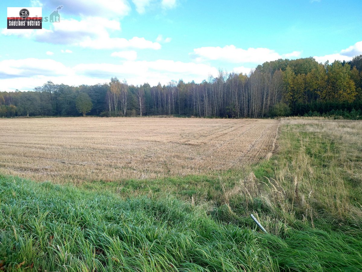 Parduodamas 4,3000 ha žemės sklypas Šiaulių - nuotraukos Nr. 13