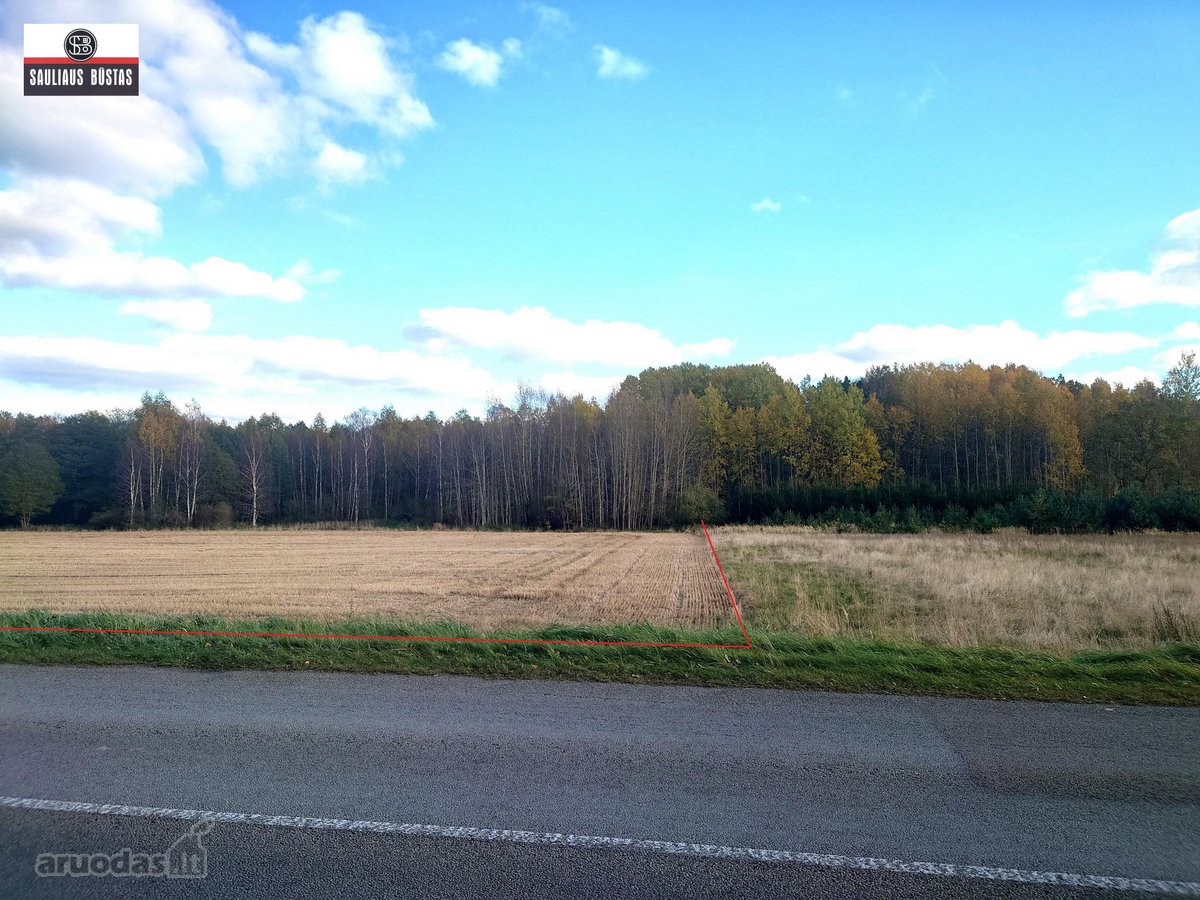 Parduodamas 4,3000 ha žemės sklypas Šiaulių - nuotraukos Nr. 11