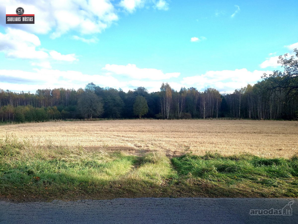 Parduodamas 4,3000 ha žemės sklypas Šiaulių - nuotraukos Nr. 10