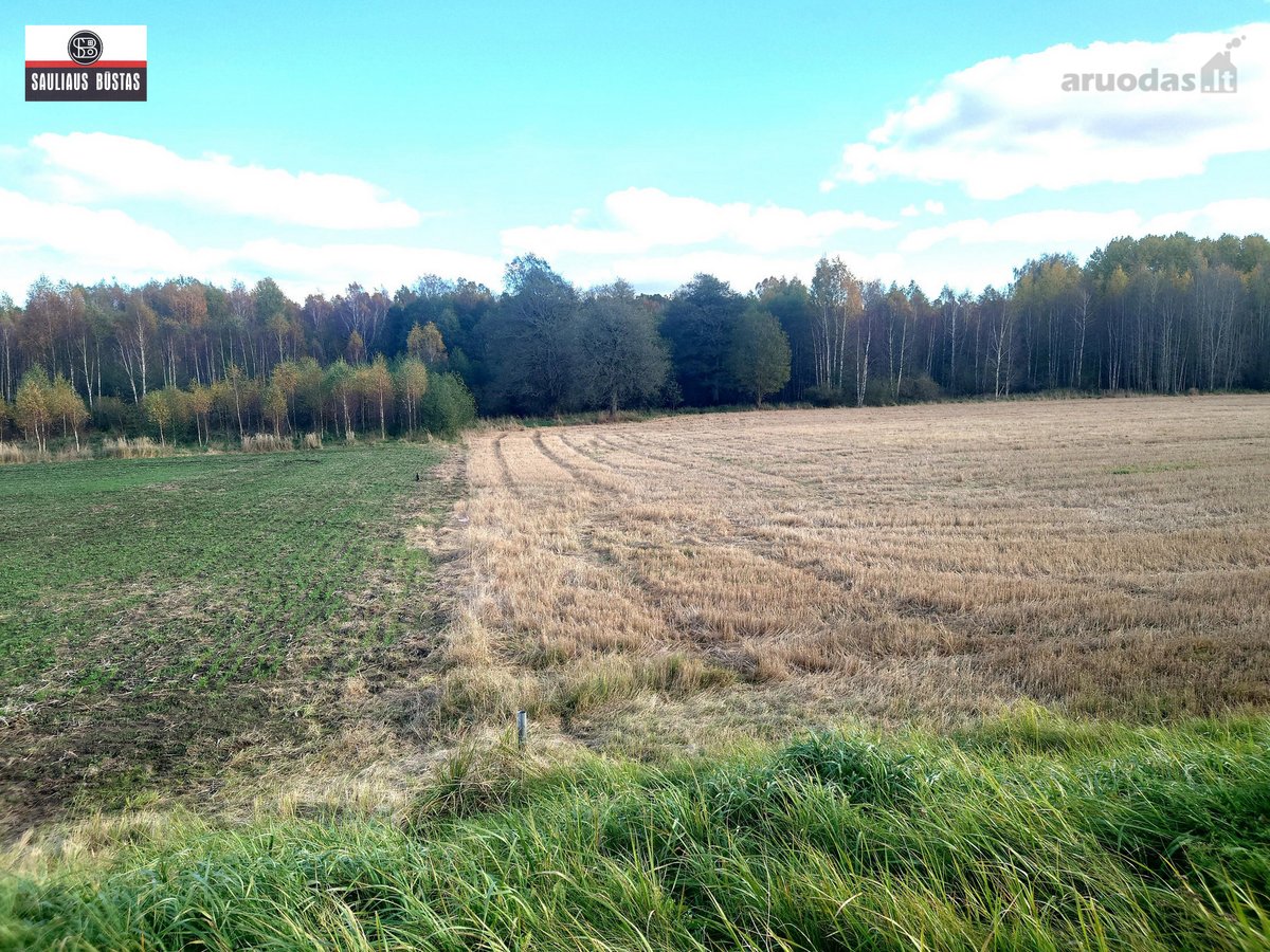 Parduodamas 4,3000 ha žemės sklypas Šiaulių - nuotraukos Nr. 14