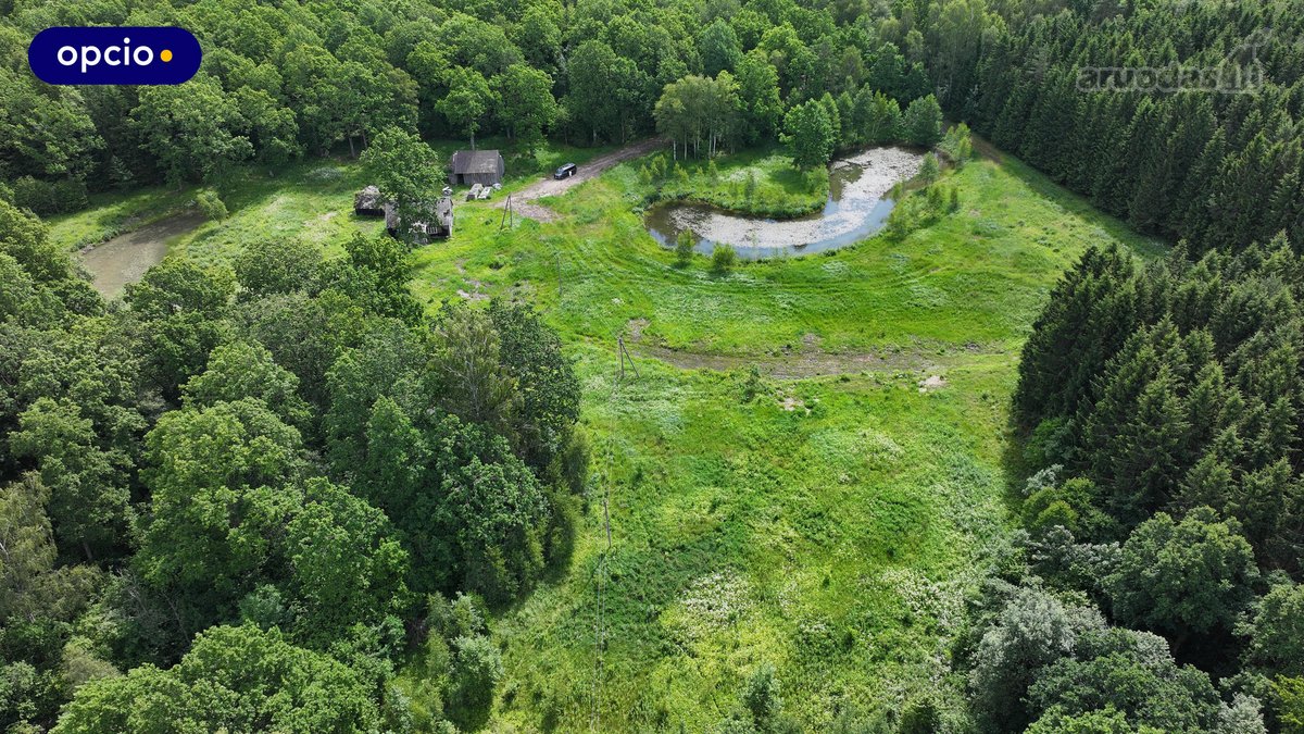 Parduodama išskirtinė vieta unikaliai sodybai - nuotraukos Nr. 9