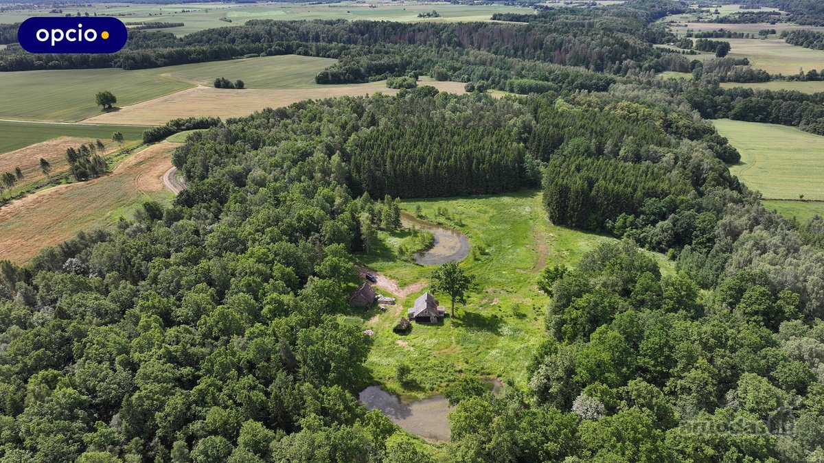 Parduodama išskirtinė vieta unikaliai sodybai - nuotraukos Nr. 12
