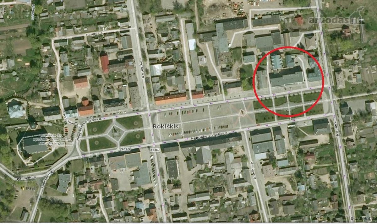 Svajonių išsipildymas norintiems gyventi ar - nuotraukos Nr. 15
