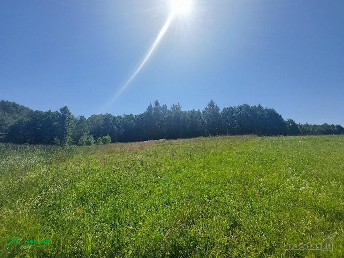 Parduodamas sklypas vaizdingoje vietoje ant - nuotraukos Nr. 13
