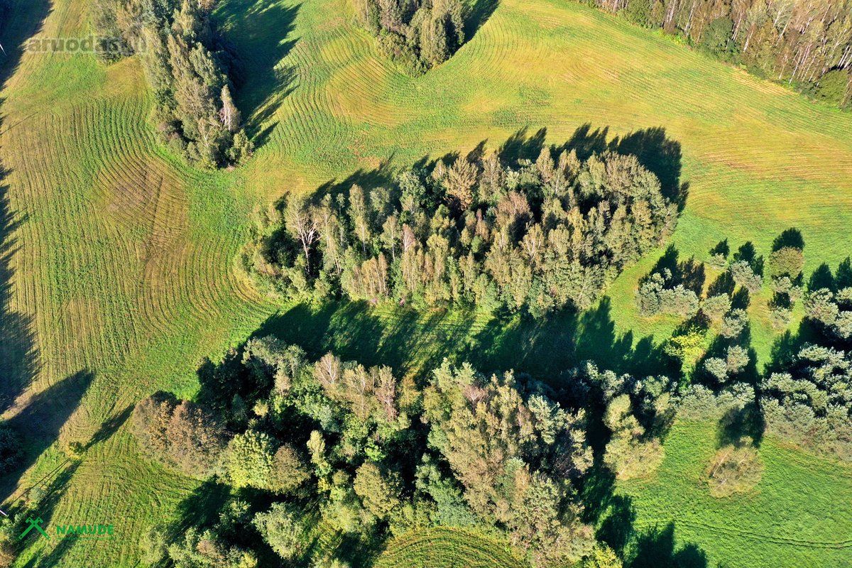 Siūlome įsigyti sodybą viename gražiausių - nuotraukos Nr. 9