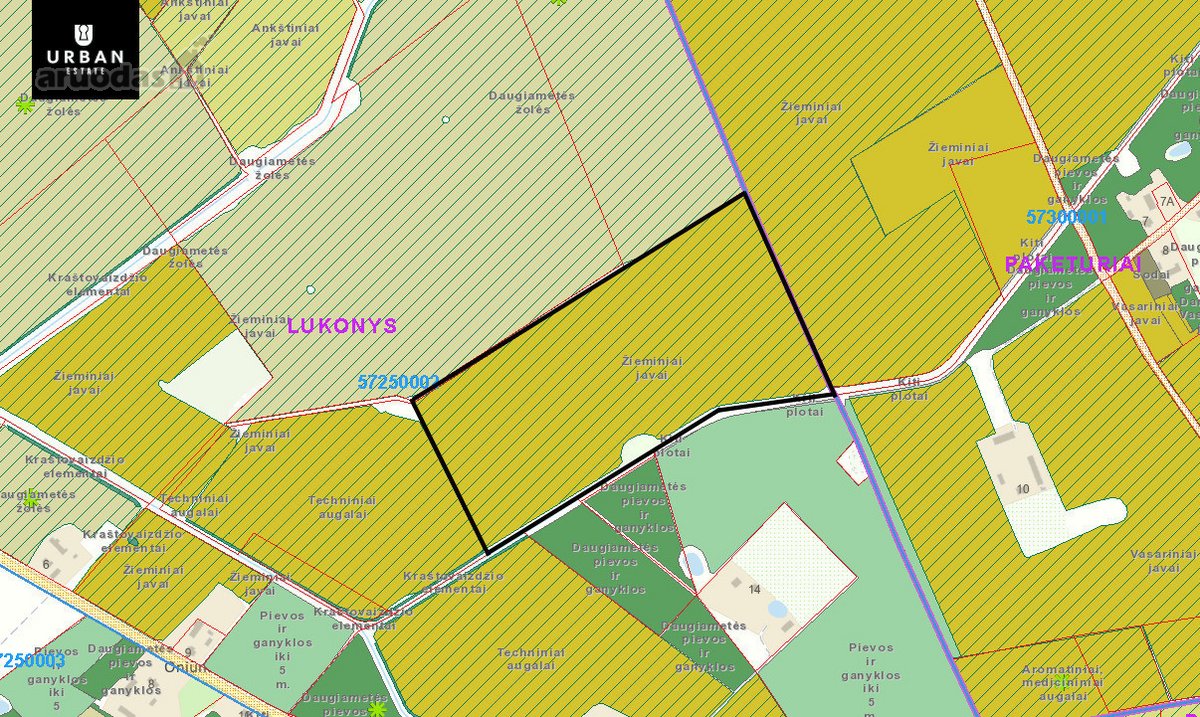 12ha Žemės Ūkio Paskirties Sklypas Kupiškio - nuotraukos Nr. 2