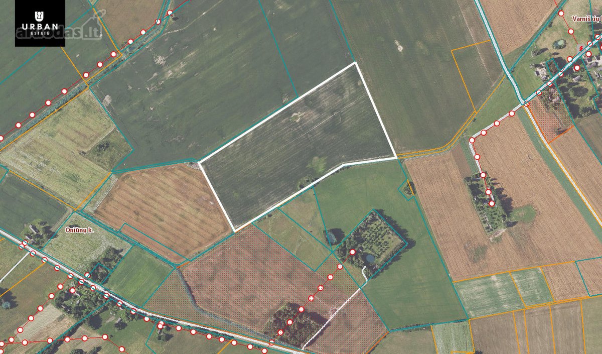 12ha Žemės Ūkio Paskirties Sklypas Kupiškio - nuotraukos Nr. 4