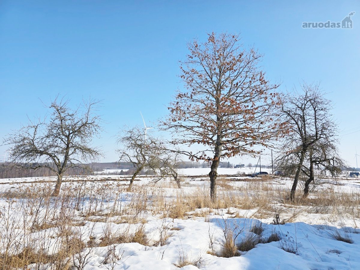 Mietkalnio k., Kelmės r. parduodama jauki - nuotraukos Nr. 9