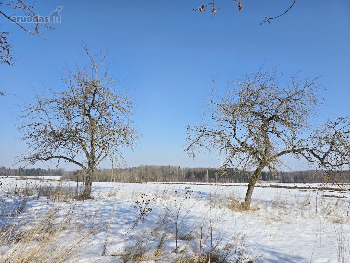 Mietkalnio k., Kelmės r. parduodama jauki - nuotraukos Nr. 10