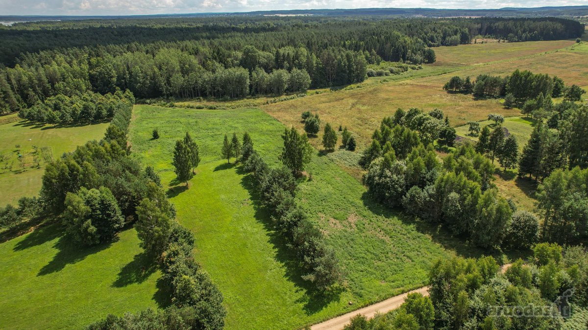Parduodamas 1,2628 ha žemės ūkio paskirties - nuotraukos Nr. 7