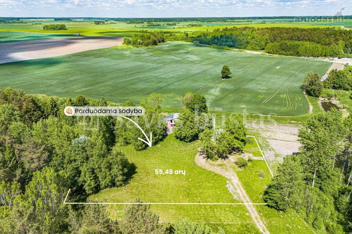Parduodama jauki sodyba, vaizdingoje vietoje - nuotraukos Nr. 23