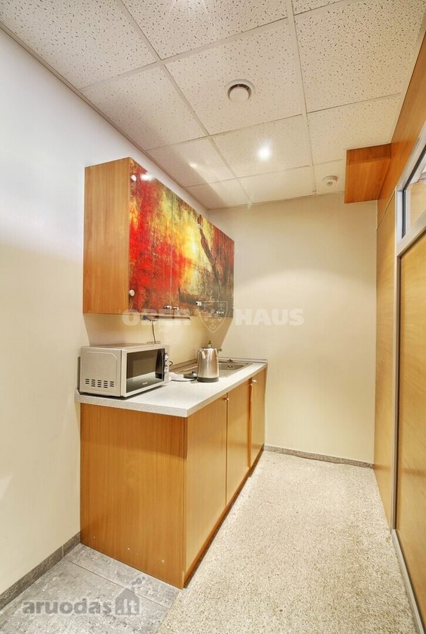 Išnuomojamos 156 m² puikiai įrengtos - nuotraukos Nr. 14