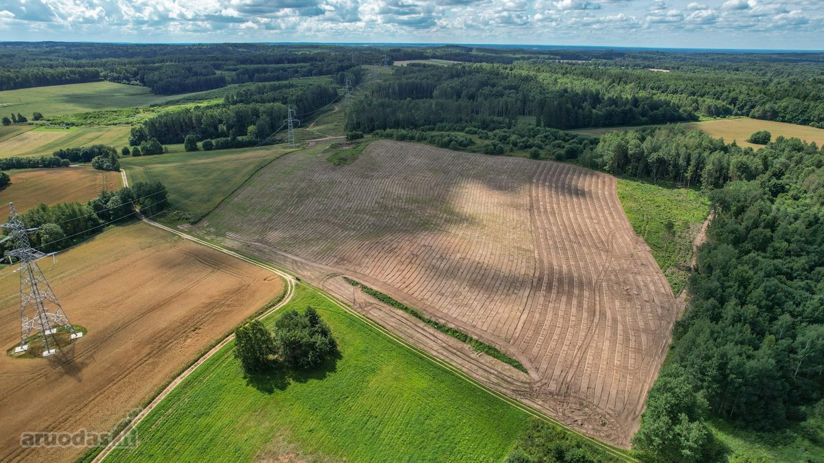 Išskirtinė Vieta Sodybai Ir Poilsiui – 7,0563 - nuotraukos Nr. 6