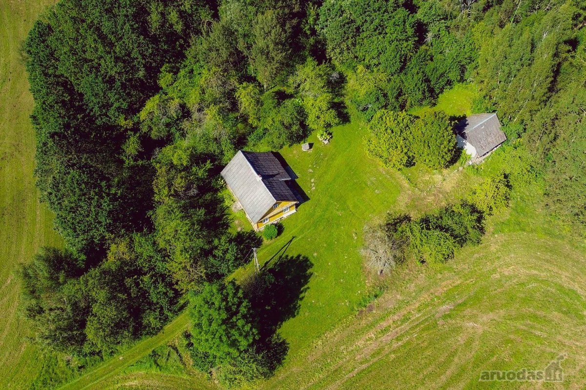 Parduodamas namas su sklypu gamtos apsuptyje. - nuotraukos Nr. 2