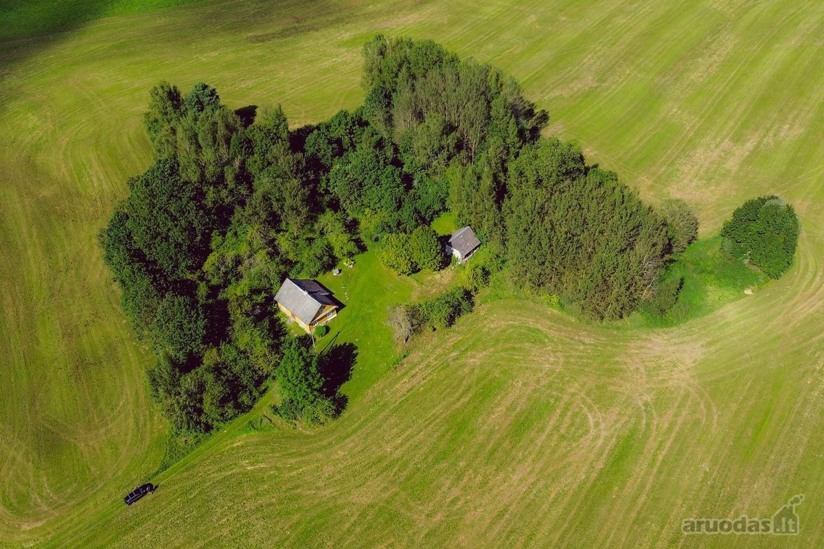 Parduodamas namas su sklypu gamtos apsuptyje. - nuotraukos Nr. 6