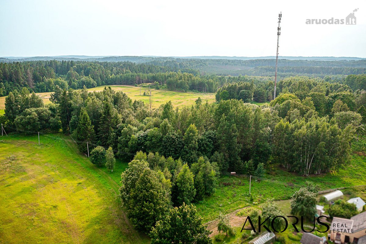 Verta Žinoti - nuotraukos Nr. 14