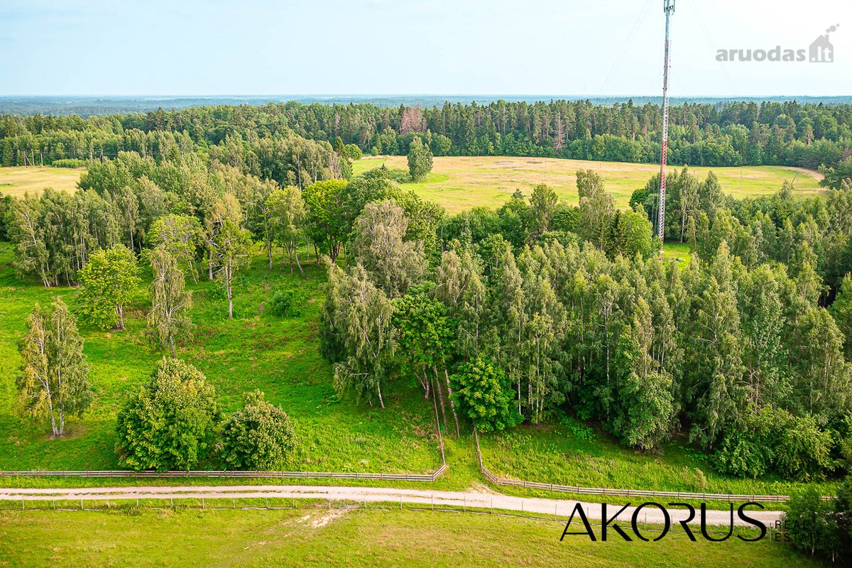 Verta Žinoti - nuotraukos Nr. 15
