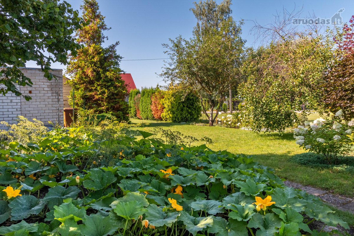 Parduodamas Jaukus Ir Šiltas Namas - nuotraukos Nr. 8