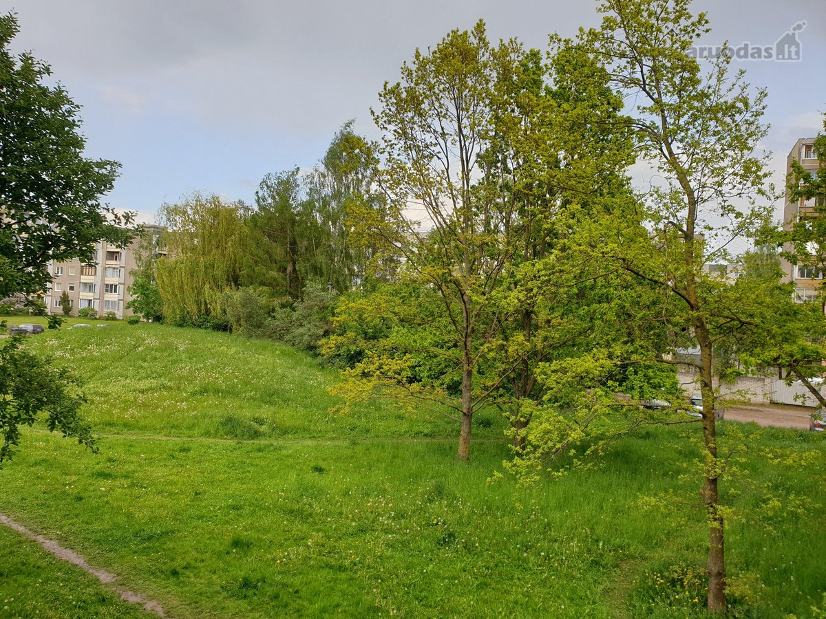 Parduodamas tvarkingas, jaukus, pilnai - nuotraukos Nr. 10