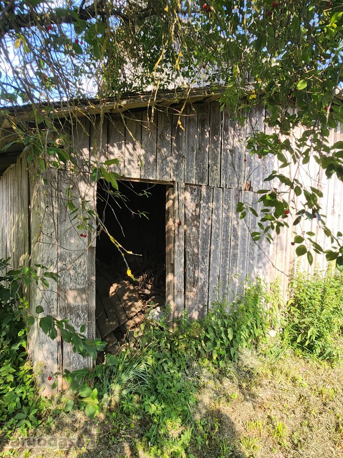 Raseinių rajone, Žibulių kaime, Dvaro gatvėje - nuotraukos Nr. 15