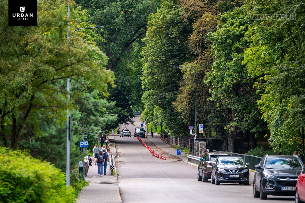 Erdvus Butas Su Vingio Parko Žaluma, - nuotraukos Nr. 27