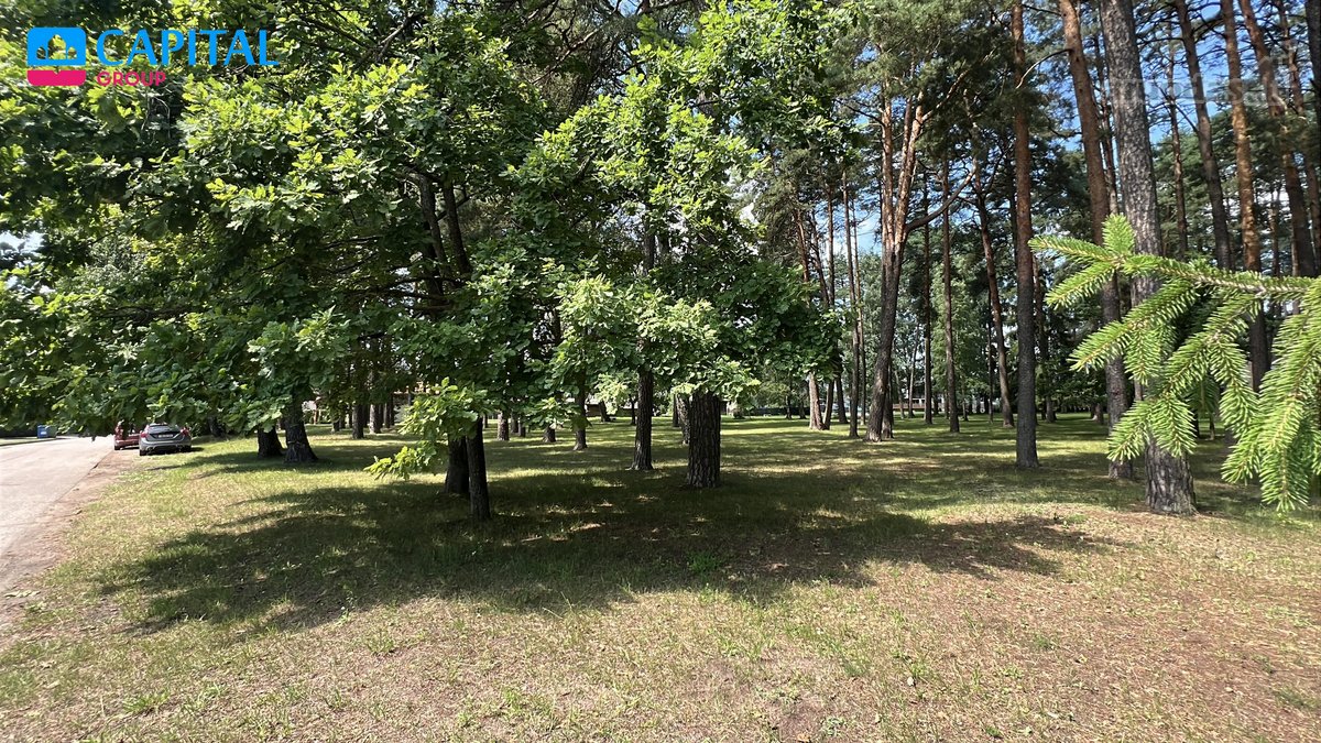 Parduodamas Namas Kazlų Rūdoje, Vasario 16 - nuotraukos Nr. 21