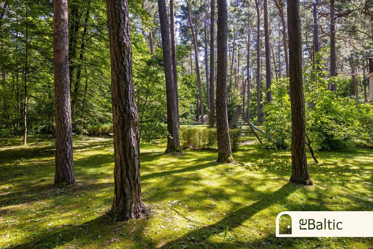 Prestižiniai trijų kambarių apartamentai su - nuotraukos Nr. 39