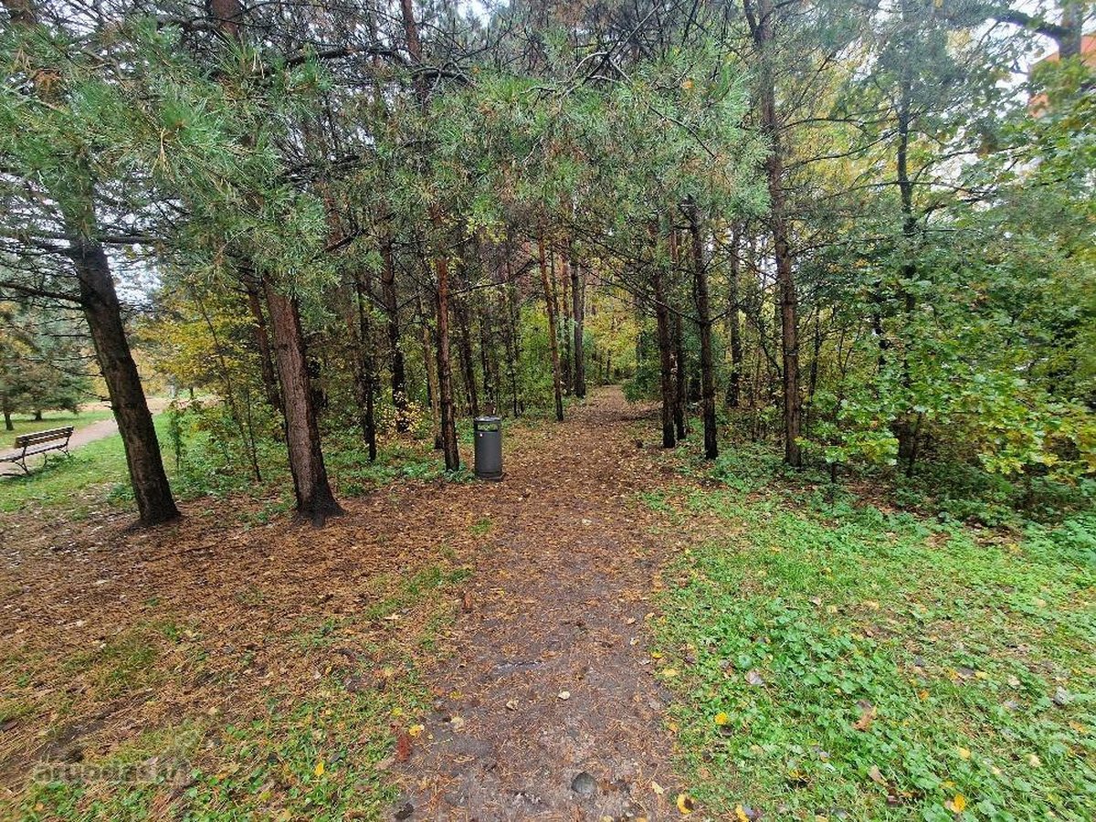 Parduodamas butas ,saldainis, Išskirtinėje - nuotraukos Nr. 45