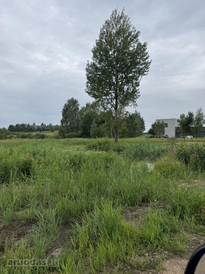 Parduodami 3 Sklypai Vilniaus Rajone – - nuotraukos Nr. 10