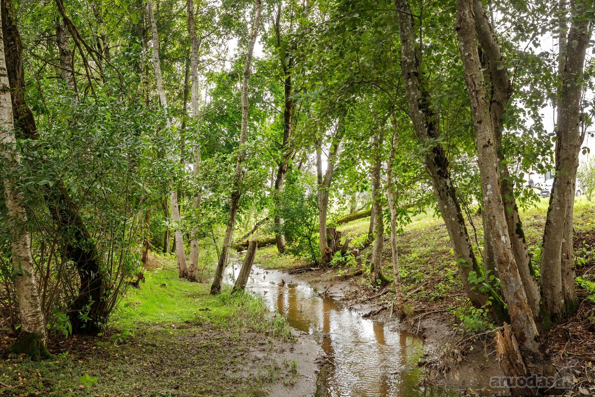 Nuomojamas Erdvus 3 Kambarių Butas Ilgalaikei - nuotraukos Nr. 33