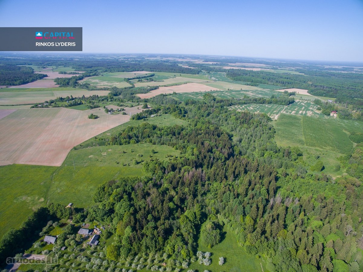 Parduodamas 1336 a. žemės ūkio paskirties - nuotraukos Nr. 2