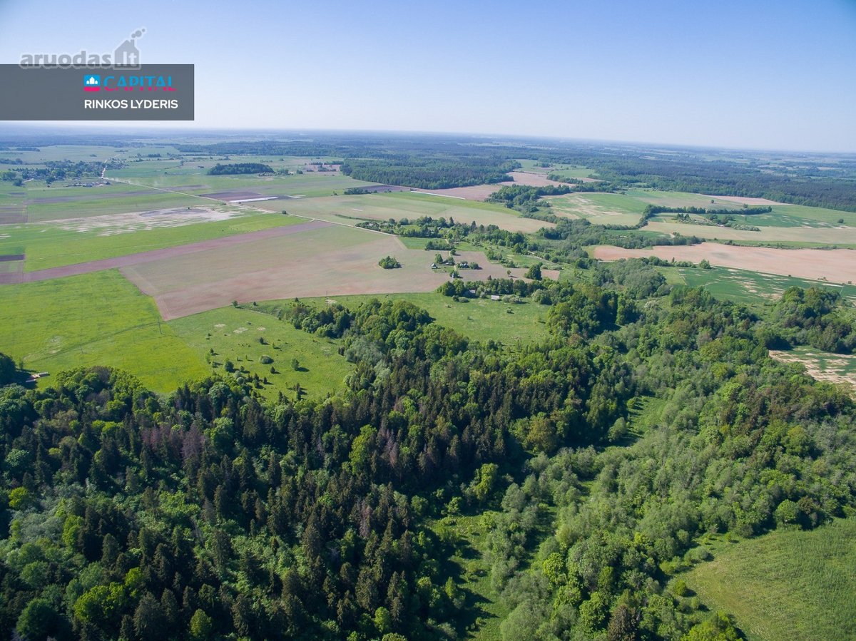 Parduodamas 1336 a. žemės ūkio paskirties - nuotraukos Nr. 3